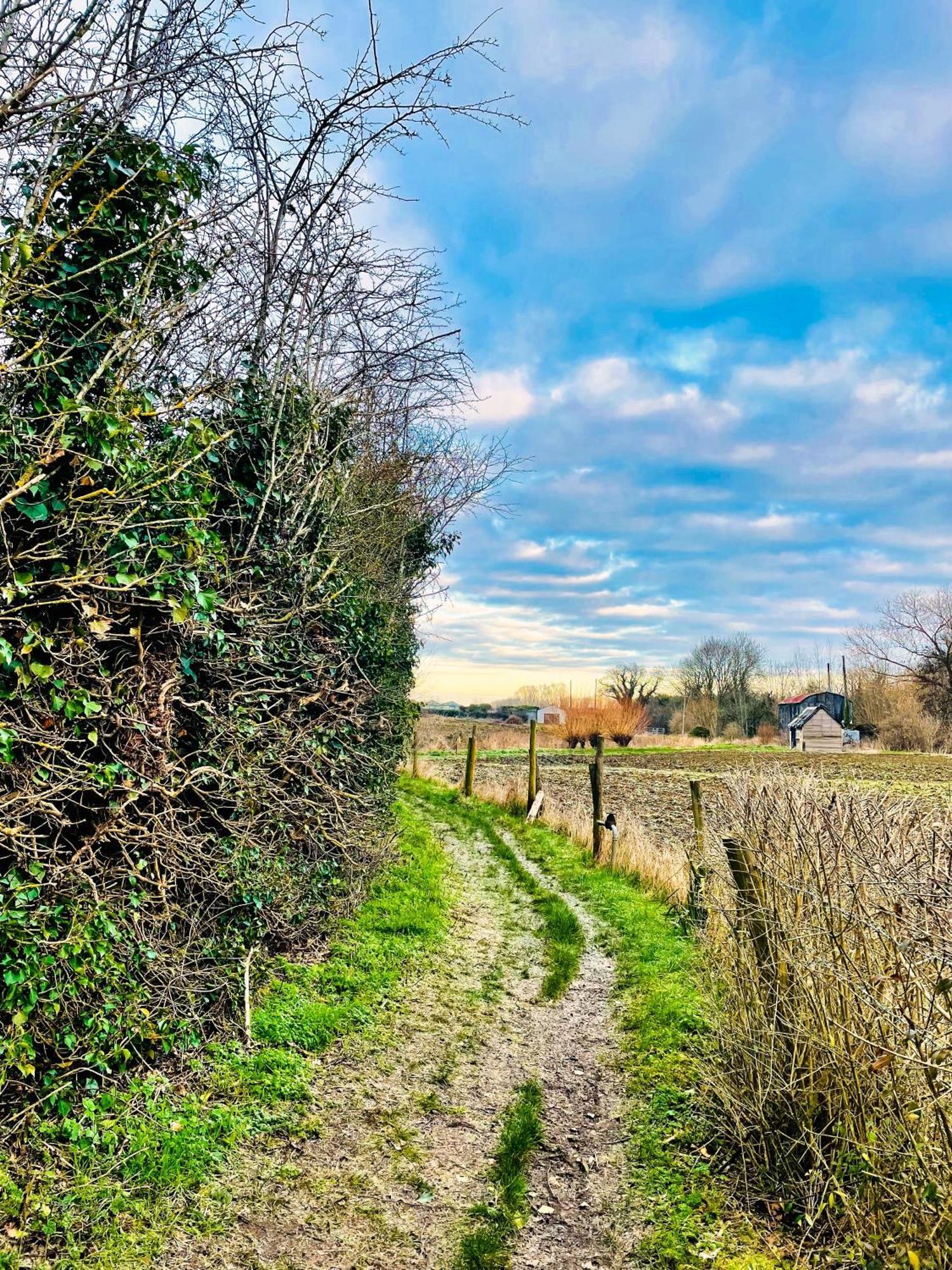 Gem In Wickhamford, Near Broadway